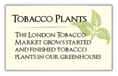 London Tobacco Market • London, Kentucky • The New London Tobacco Warehouse  serves burley tobacco growers throughout Kentucky, Tennessee and Virginia.  We sell tobacco supplies, tobacco plants, crop insurance and are here